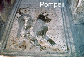 Pompeii 2005